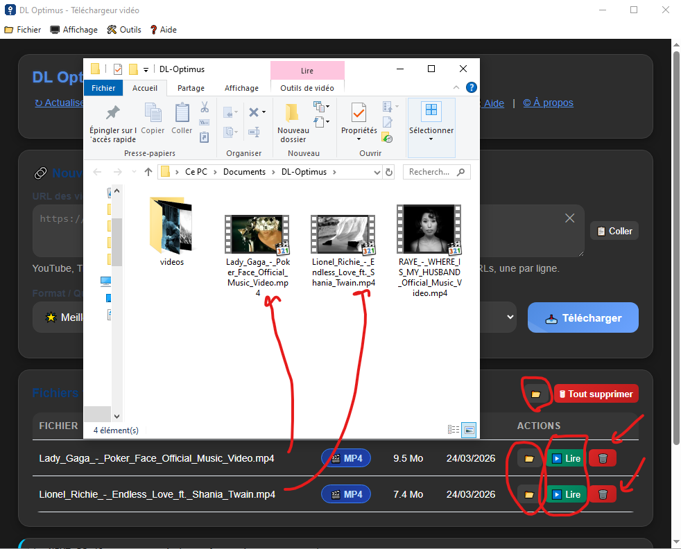 Gestion des fichiers DL Optimus